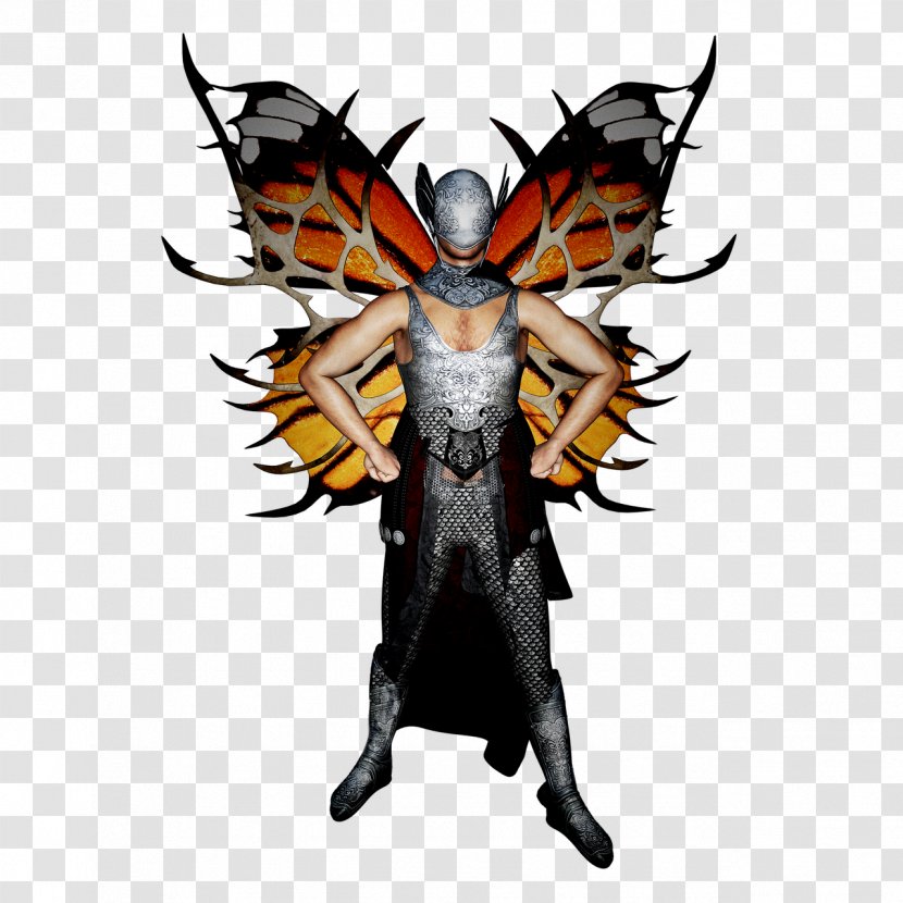 Butterfly Fairy Fantasy Elf Insect Wing Transparent PNG