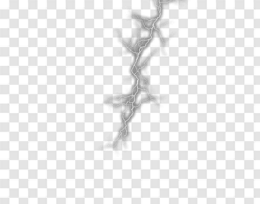 Lightning Grey Black And White Google Images - Flower Transparent PNG