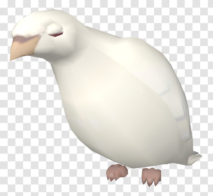 Penguin Bird Of Prey Beak Neck Transparent PNG