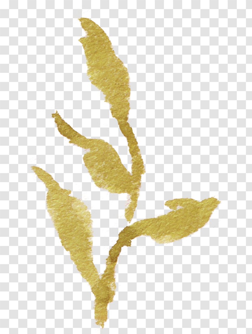 Leaf - Material - Leaves Falling Element Transparent Transparent PNG