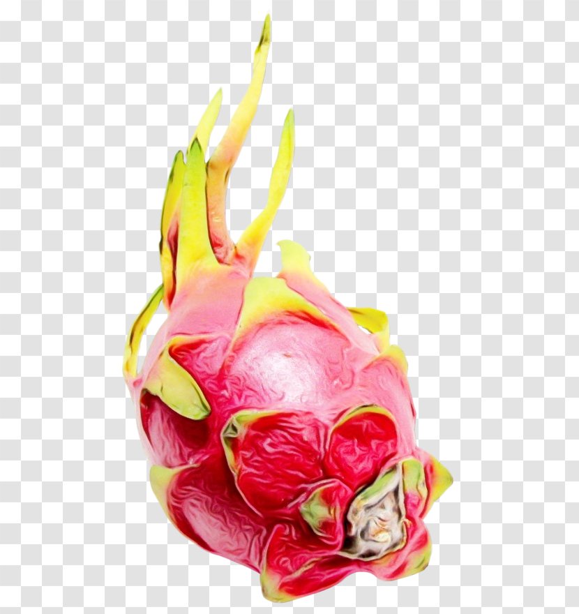 Pitaya Dragonfruit Fruit Food Pink - Vegetable Flower Transparent PNG