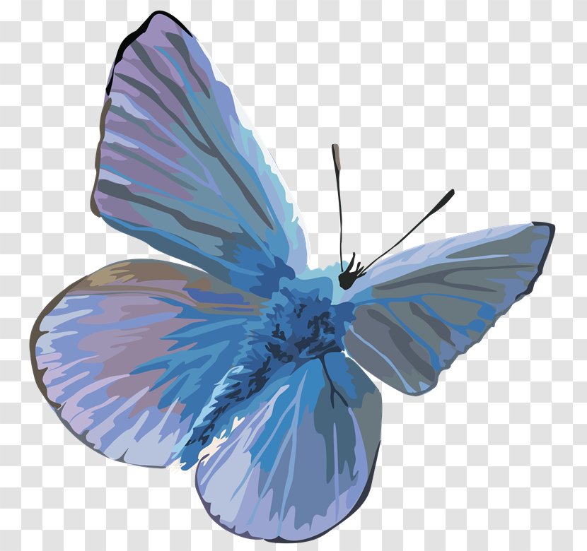 Butterfly PhotoScape Clip Art - Arthropod - Gmp Transparent PNG