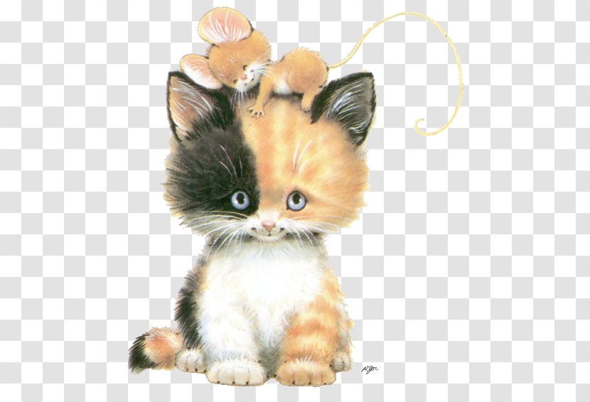 Kitten Mouse Chantilly-Tiffany Asian Semi-longhair Persian Cat - Calico Transparent PNG