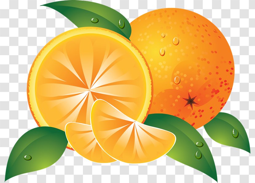 Juice Orange Clip Art - Sweet Lemon Transparent PNG