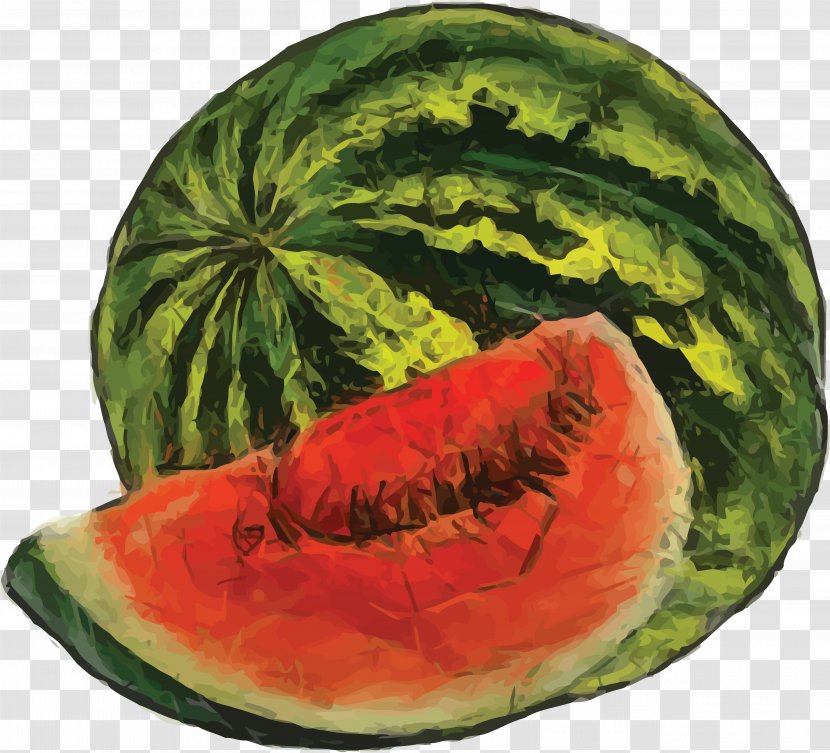 Fruit Watercolor Painting Watermelon Transparent PNG