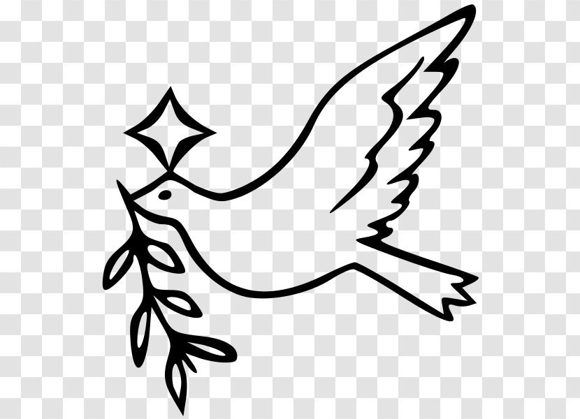 Columbidae Coloring Book Doves As Symbols International Day Of Peace (United Nations) - Text - Symbol Transparent PNG