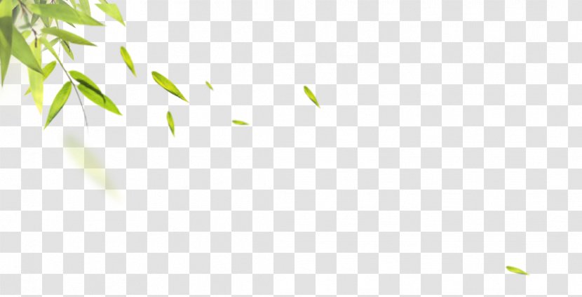 Pattern - Grass - Green Leaves Transparent PNG