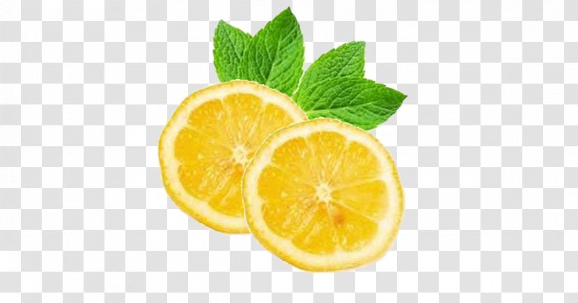 Juice Cocktail Garnish Lemon Keglevich - Diet Food Transparent PNG