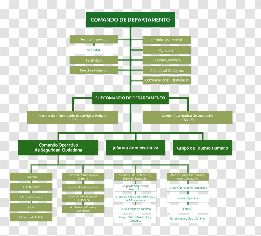 Departments Of Colombia Organizational Chart Tolima Department Magdalena Police - Empresa Transparent PNG