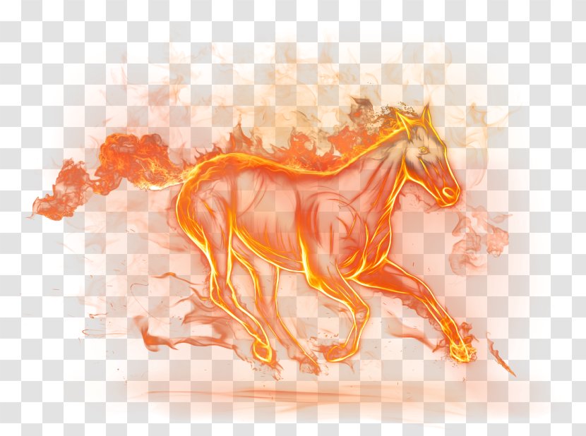 Horse Clip Art Ghoray Shah Image Transparent PNG