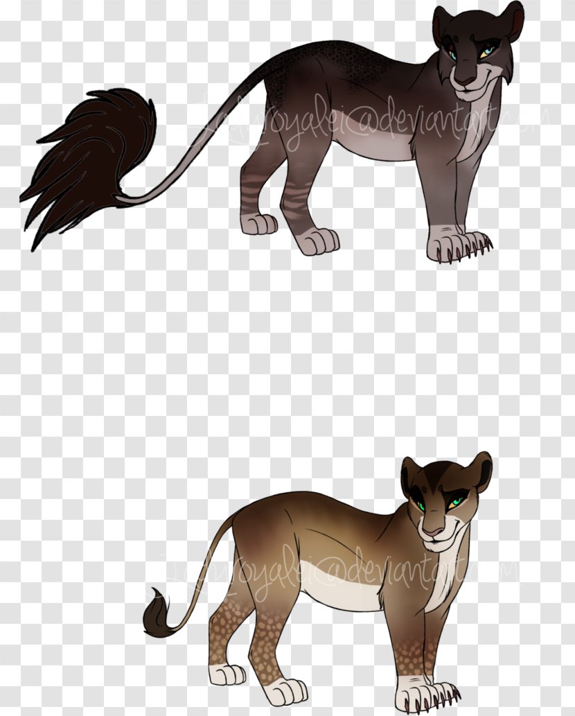 Cougar Big Cat Lion Terrestrial Animal - Small To Medium Sized Cats Transparent PNG