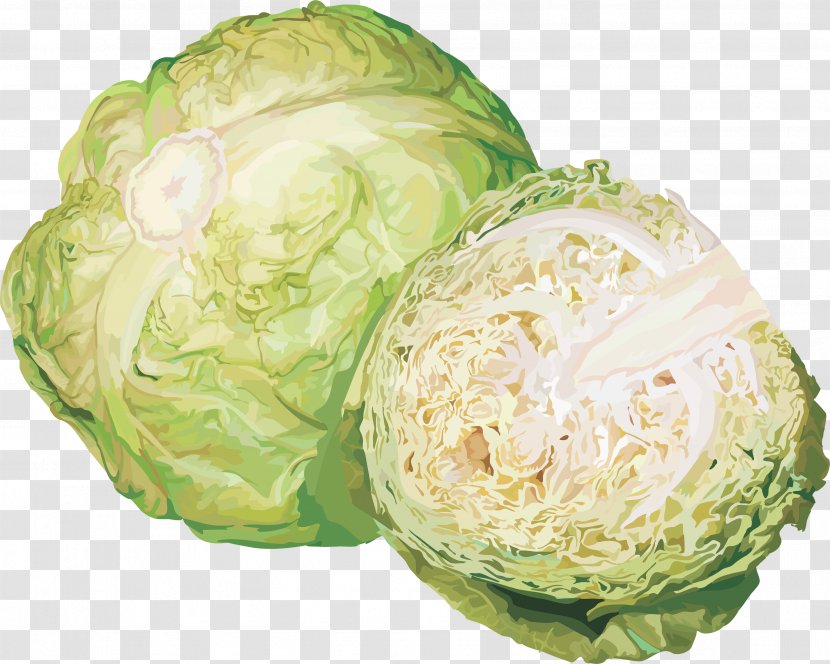 Cabbage Cauliflower Vegetable - Food - Image Transparent PNG