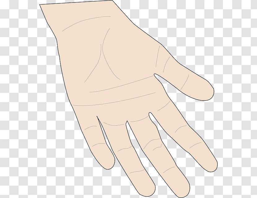 Hand Finger - Wrist Formal Gloves Transparent PNG