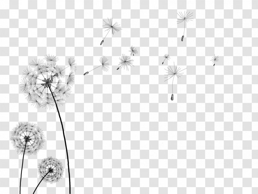 Information Clip Art - Line - Dandelion Transparent PNG