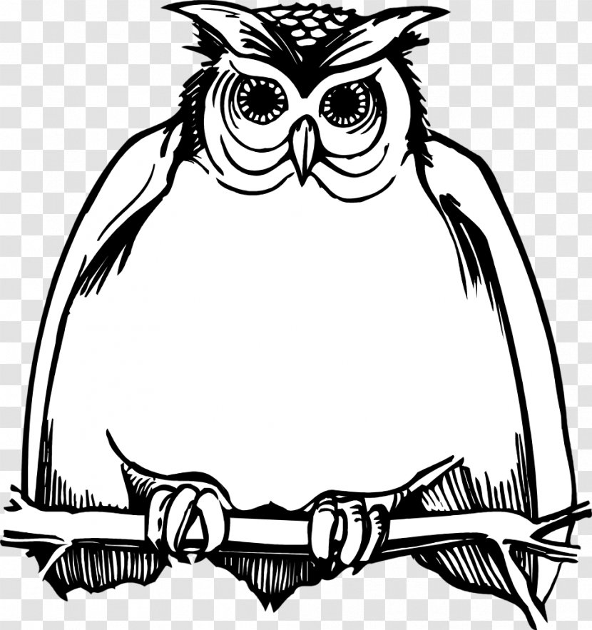 Great Horned Owl Drawing Hogwarts Clip Art - Fictional Character Transparent PNG