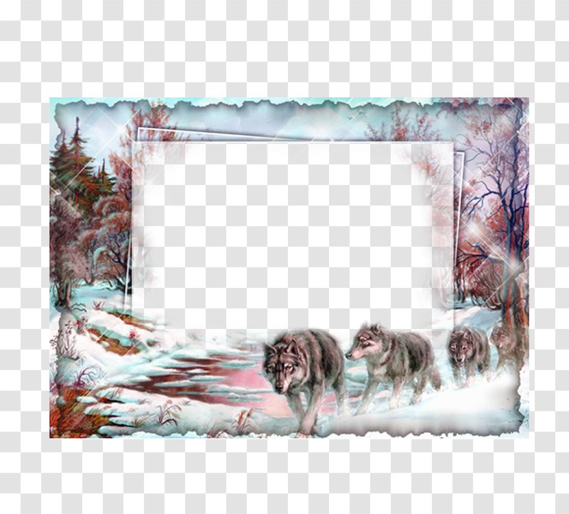 Picture Frame Collage Film - Digital Photo - Snow Wolf Transparent PNG