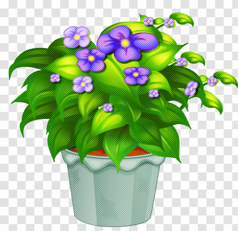 Flower Flowerpot Plant Violet Houseplant Transparent PNG