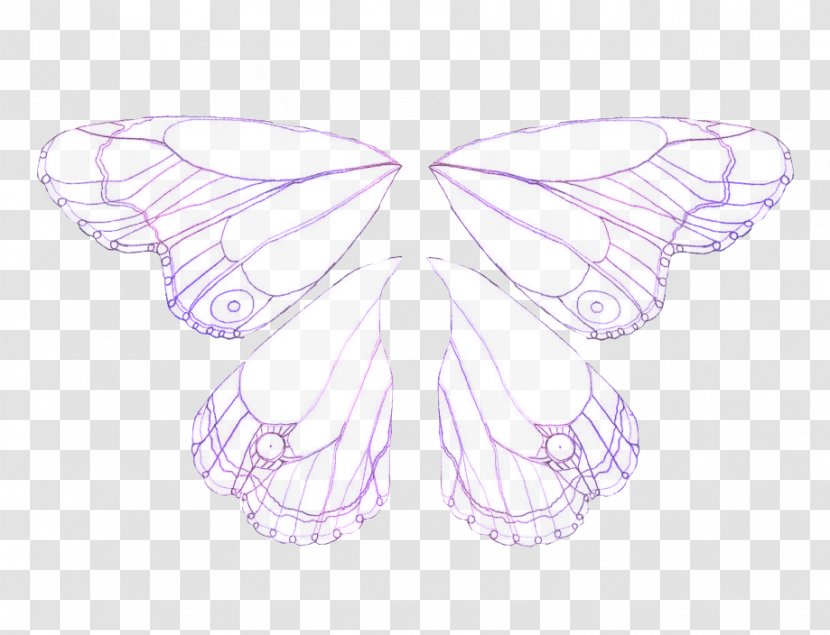 Brush-footed Butterflies Silkworm Butterfly Symmetry - Moth Transparent PNG