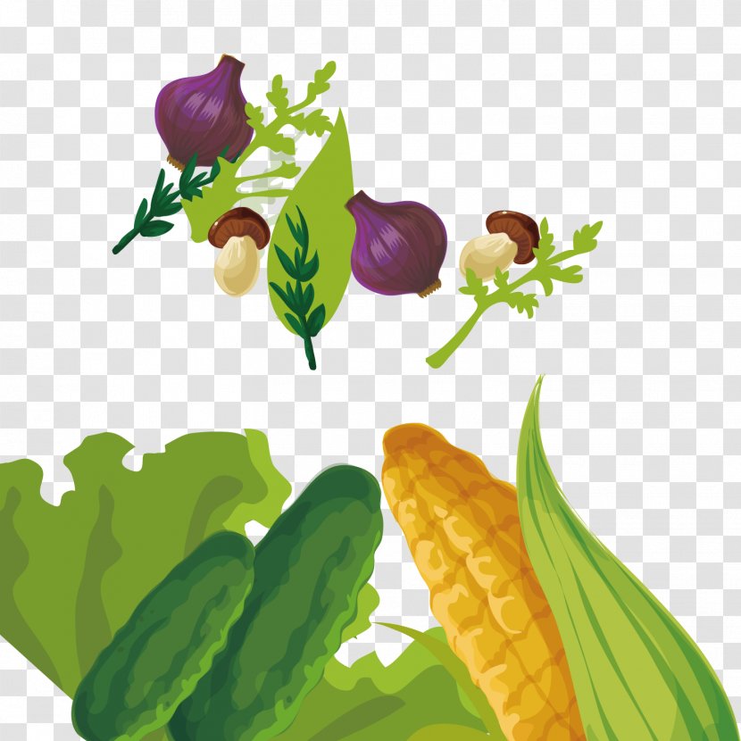 Plant Fruit Vegetable Food - Illustration - Plants Transparent PNG