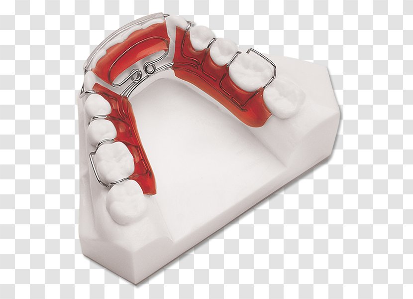 Retainer Orthodontics Mandible Dentistry Algún Lugar Profundo - Adviser - Rotainer Chartering Ab Transparent PNG