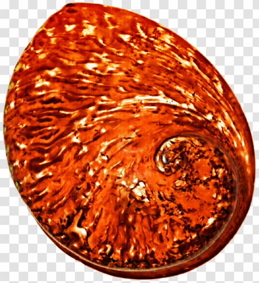 Copper - Orange Transparent PNG