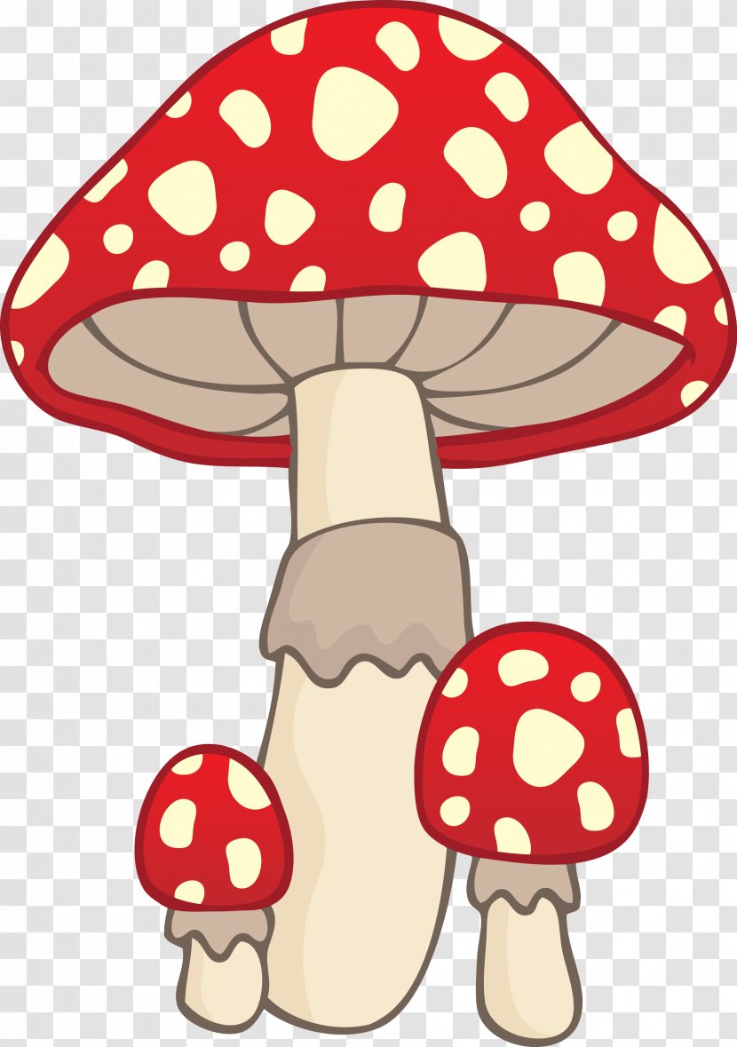 Mushroom Fungus - Red - Carton Transparent PNG