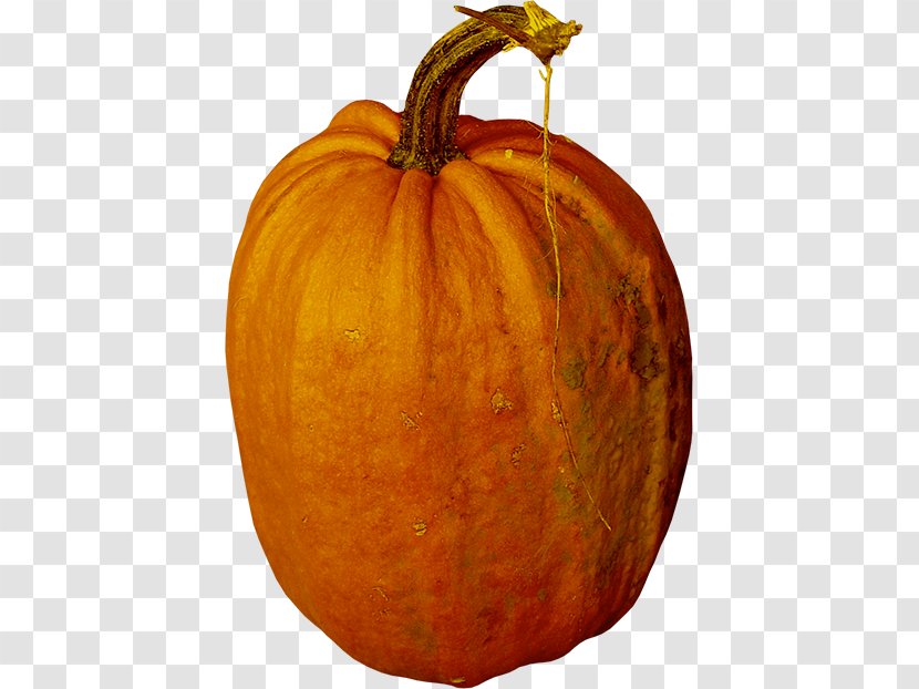 Jack-o-lantern Calabaza Pumpkin Gourd Winter Squash - Picture Material Transparent PNG