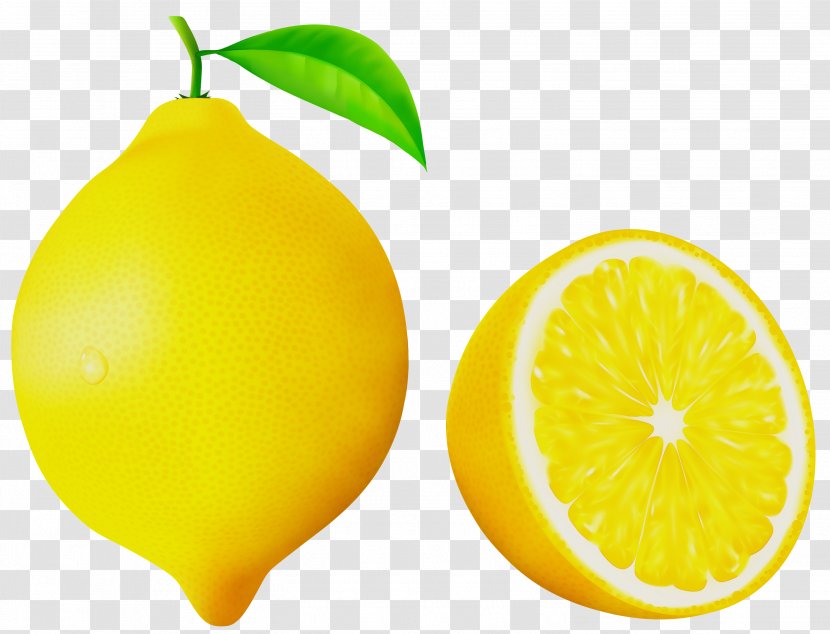 Clip Art Sour Lemonade Juice - Accessory Fruit - Lemon Transparent PNG