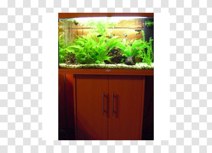 Aquariums Herb Flowerpot Plant - Aquarium Transparent PNG
