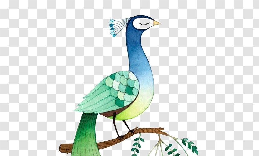 Bird Asiatic Peafowl Feather Peacock Dance - Painting Transparent PNG