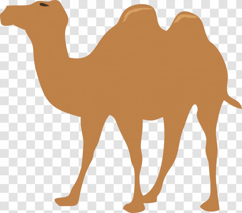 Camel Clip Art - Pixabay - Walking Transparent PNG