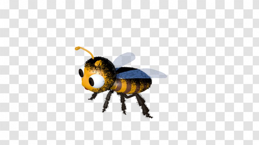 Honey Bee Beetle Animated Cartoon - Insect Transparent PNG