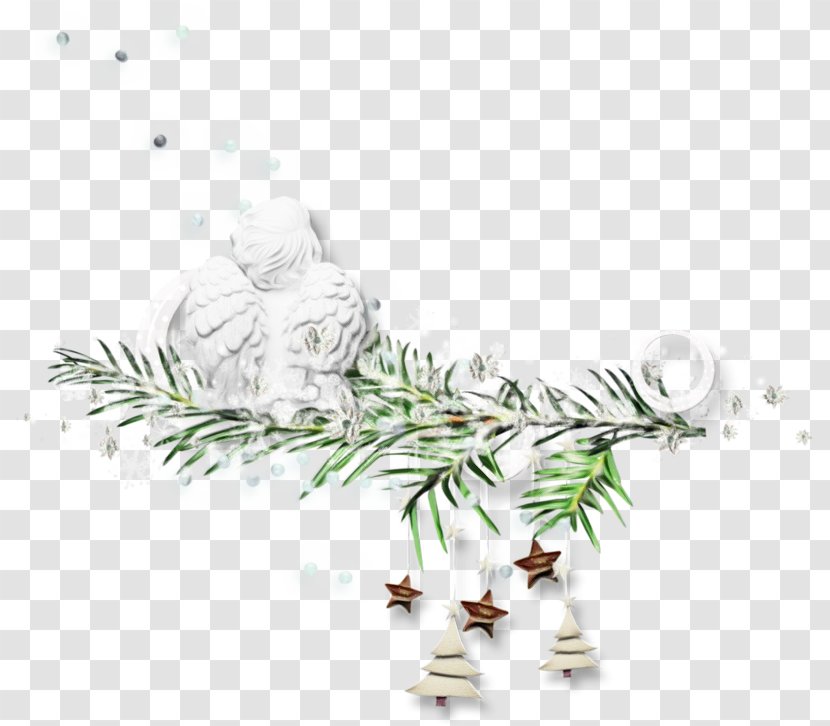 Christmas And New Year Background - Jack Pine - Red Cypress Family Transparent PNG