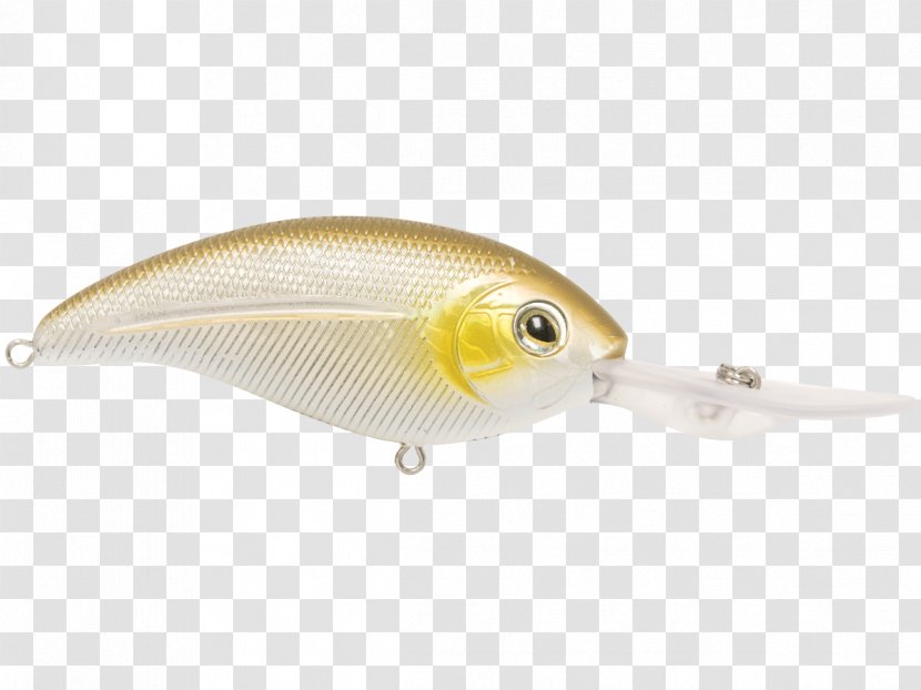 Fishing Baits & Lures Transparent PNG
