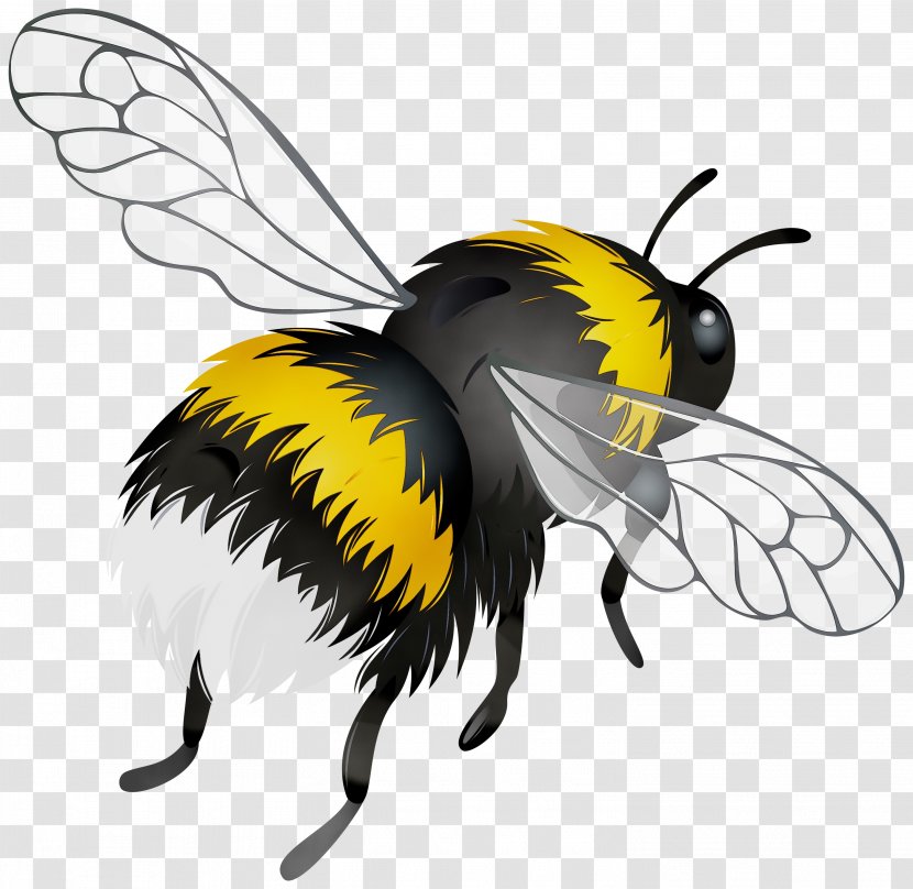Bee Background - Honey - Fictional Character Wing Transparent PNG