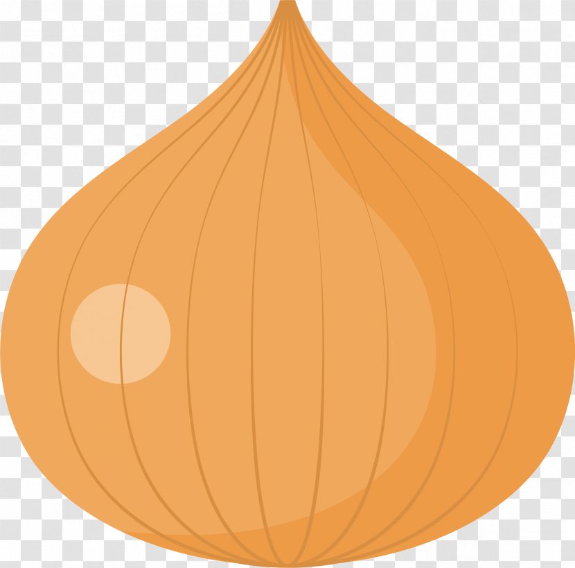 Calabaza Pumpkin Pattern - Cucurbita - Cartoon Onion Transparent PNG