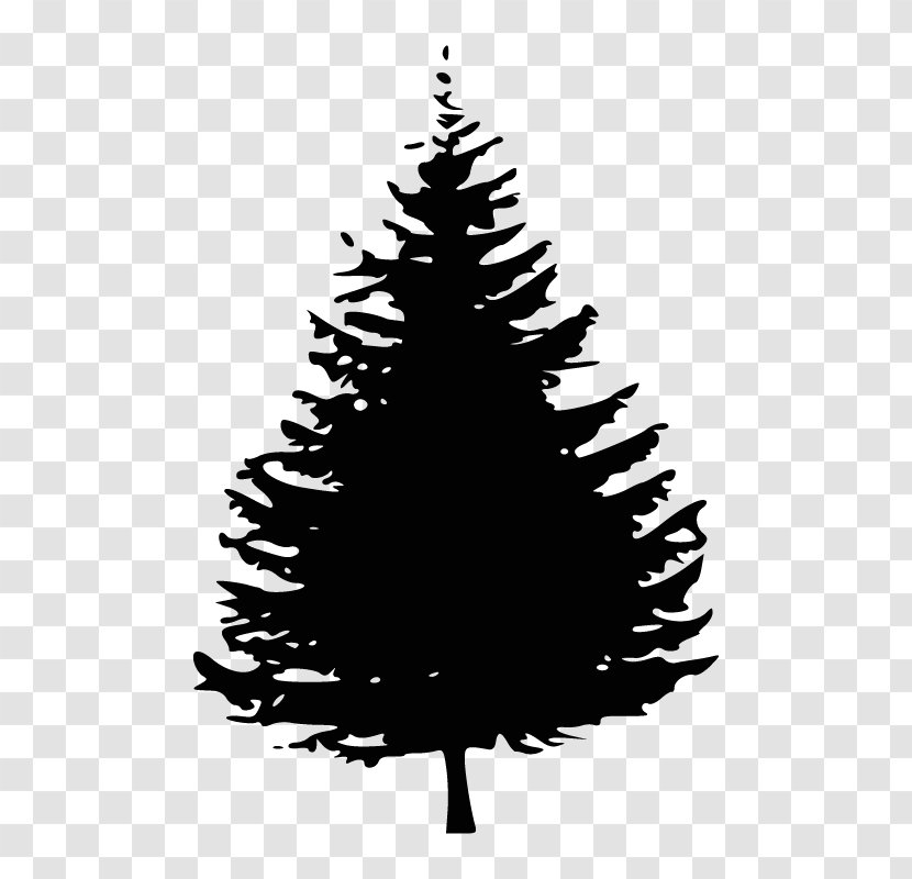 Clip Art Vector Graphics Free Content Image - Pine - Ptaki Symbol Transparent PNG