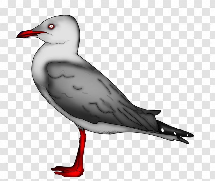 Gulls European Herring Gull Great Black-backed Bird Drawing - Painting - Seagull Transparent PNG