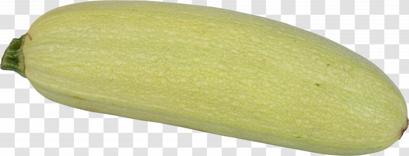 Wax Gourd Cucurbita Pepo Var. Giromontiina Marrow Кабак - Megabyte - Zucchini Transparent PNG