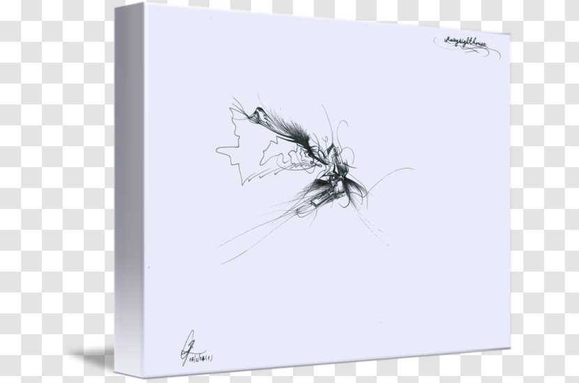 Paper Graphic Design Insect Picture Frames - Pest Transparent PNG