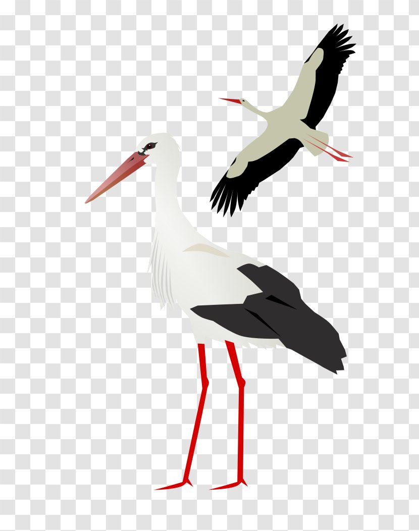 White Stork Clip Art - Ciconiiformes Transparent PNG