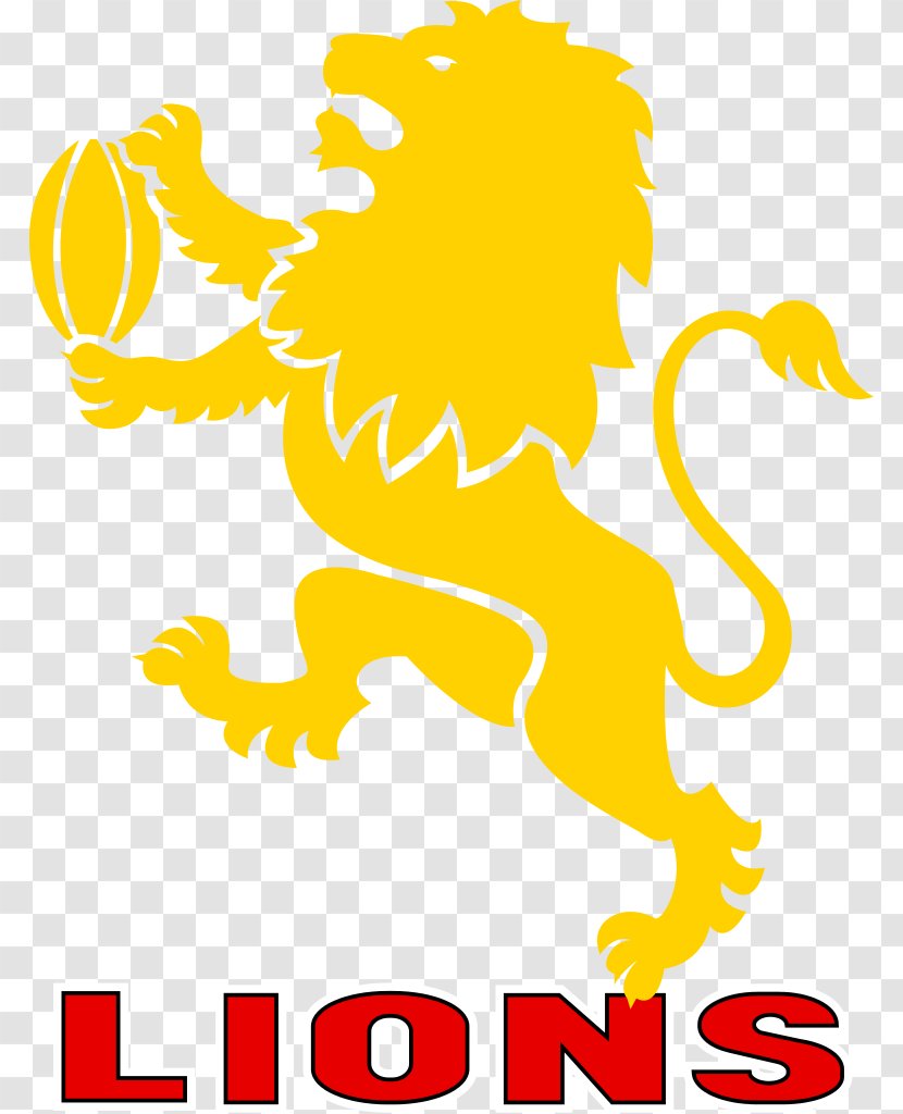 Ellis Park Stadium Golden Lions Vodacom Cup Pumas - Area - Head Transparent PNG