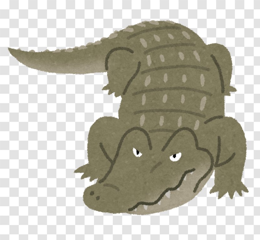 Florida Person 体長 Child Crocodiles - Tail - Crocodile Transparent PNG