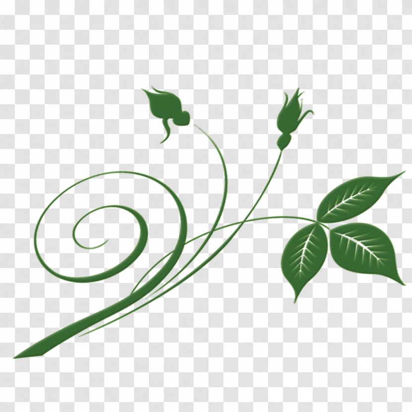 Leaf Green - Floral Design - Emerald Material Transparent PNG