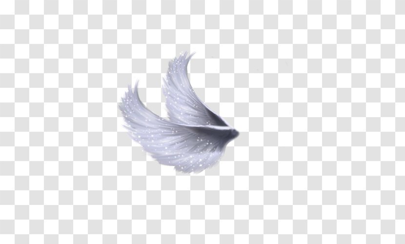 Android Flight Ink - Feather - Angel Wings Transparent PNG
