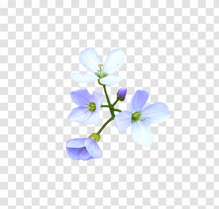 Flower Blue DeviantArt - Blossom - Crown Transparent PNG
