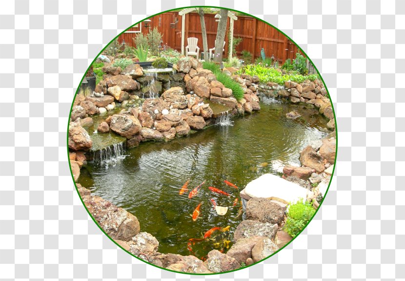 Koi Body Of Water Fish Pond Garden Transparent PNG