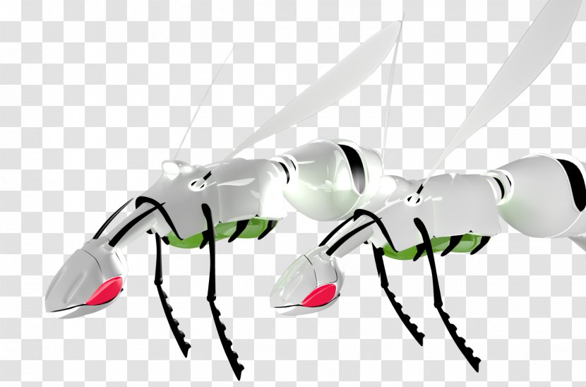 Insect Decapoda Clip Art - Pest Transparent PNG