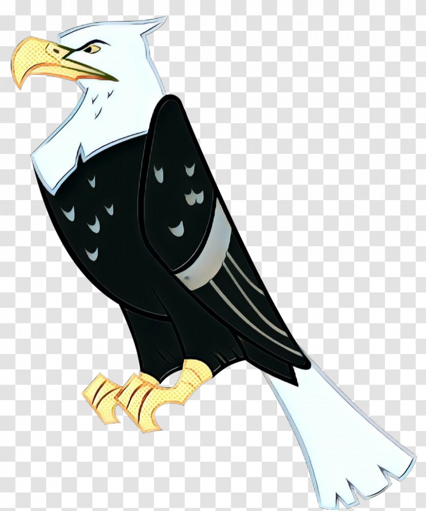 Bird Bald Eagle Of Prey Beak - Accipitridae Kite Transparent PNG