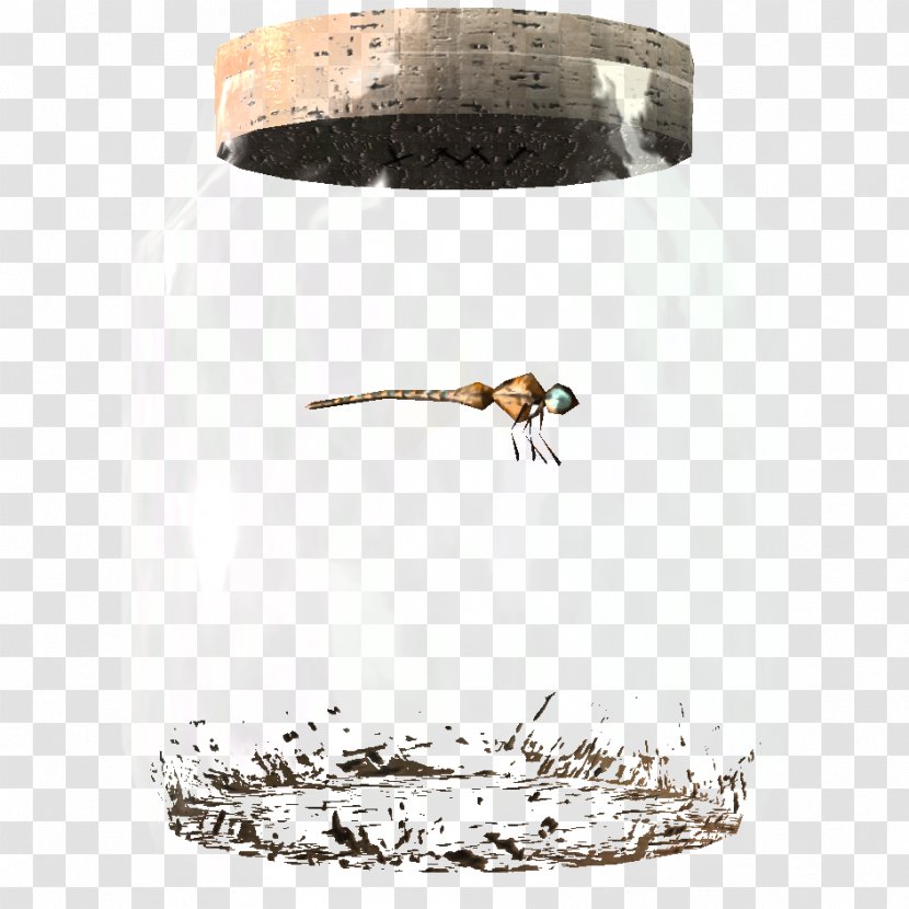 Bee Butterfly The Elder Scrolls V: Skyrim Jar Insect - Beak - Dragon Fly Transparent PNG